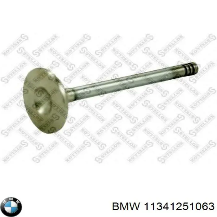 11341251063 BMW válvula de escape