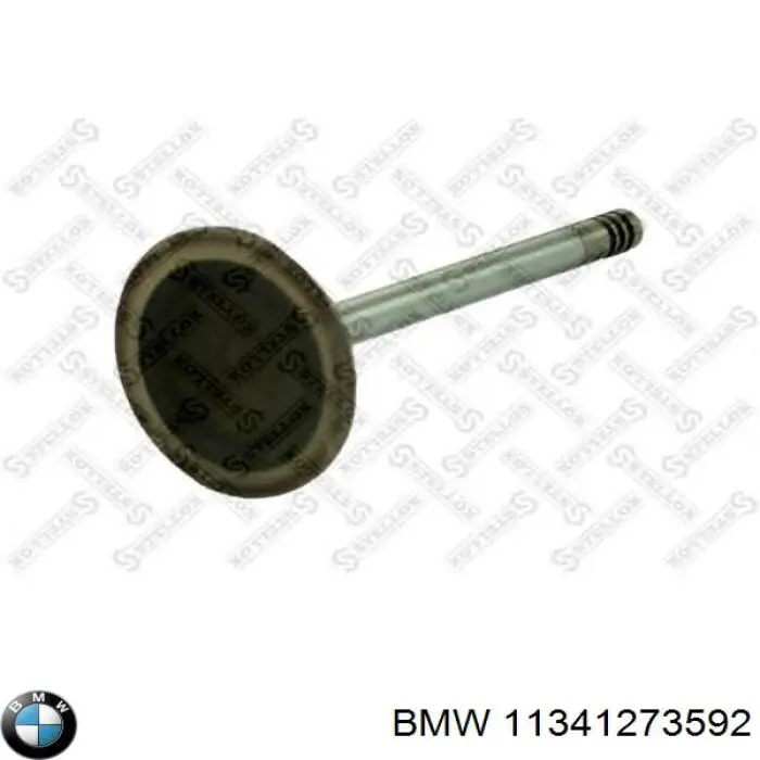 Впускной клапан 11341273592 BMW