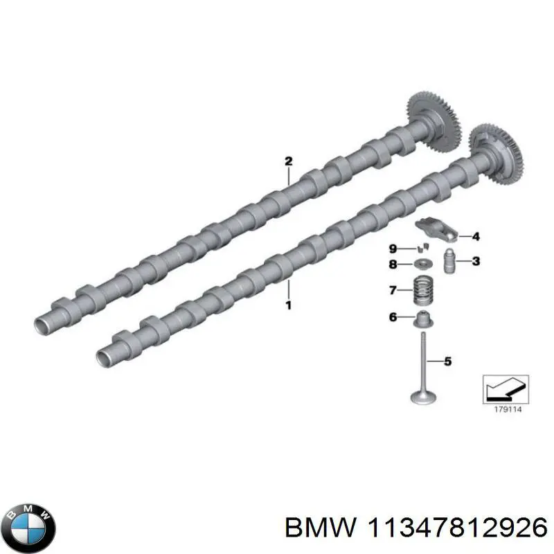 11347812926 BMW сальник клапана (маслосъемный, впуск/выпуск, комплект на мотор)