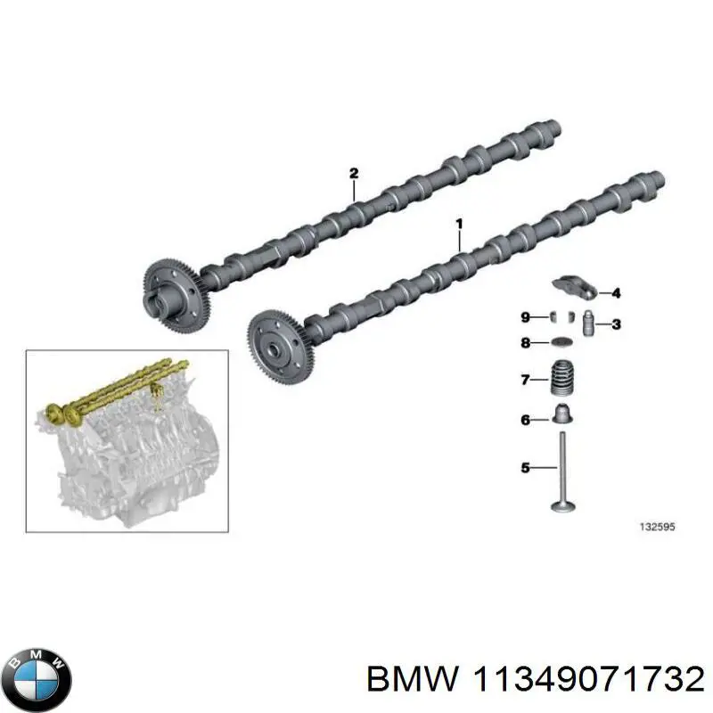 11349071732 BMW сальник клапана (маслосъемный, впуск/выпуск, комплект на мотор)