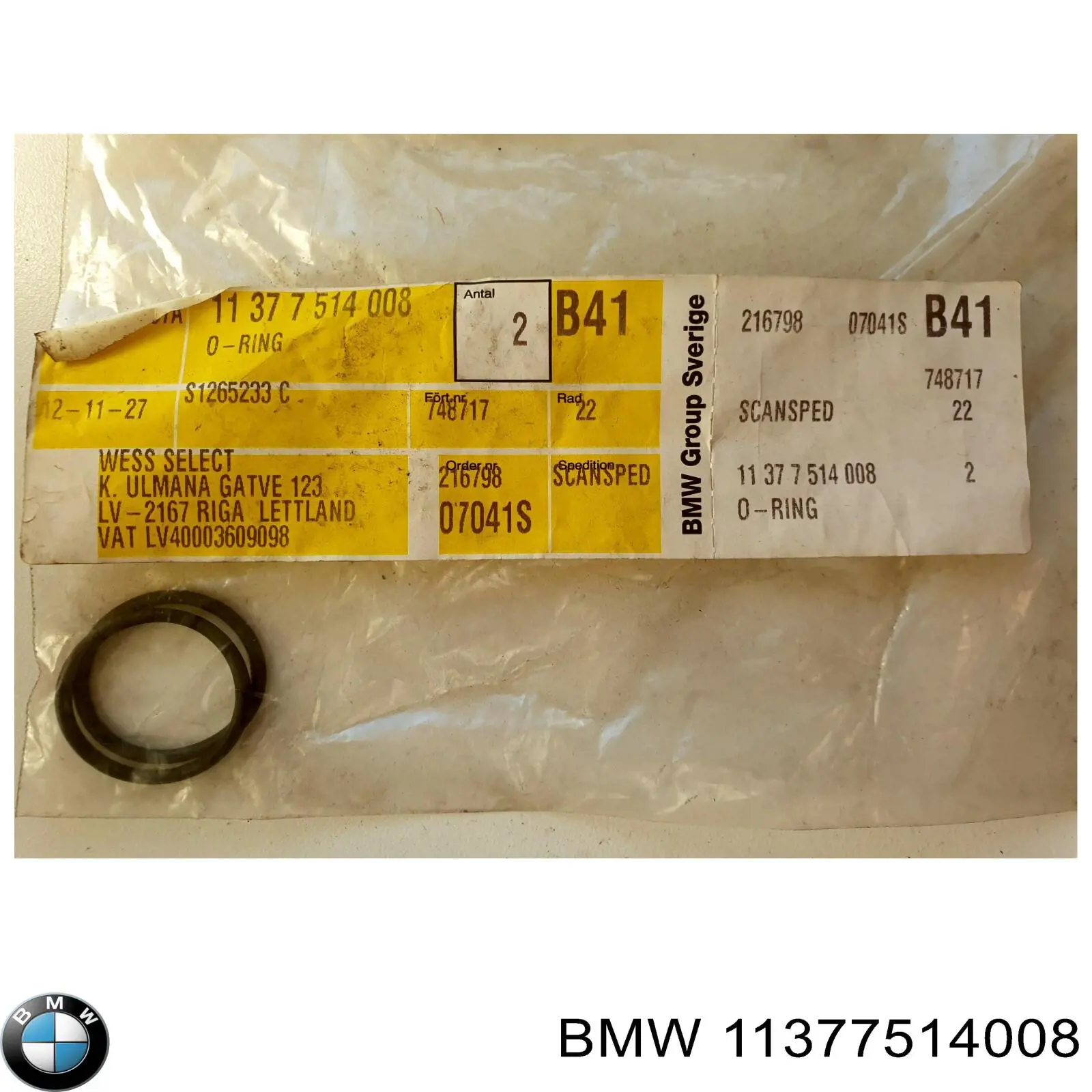 11377514008 BMW кольцо уплотнительное свечного колодца
