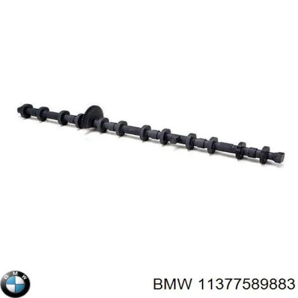Eixo excêntrico, valvetronic para BMW 7 (F01, F02, F03, F04)