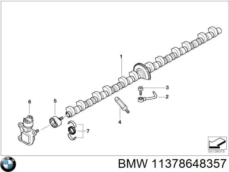 11378648357 BMW 