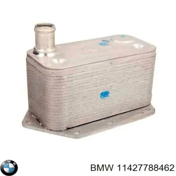 Купить 11427788462 BMW Радиатор масляный (холодильник), под фильтром