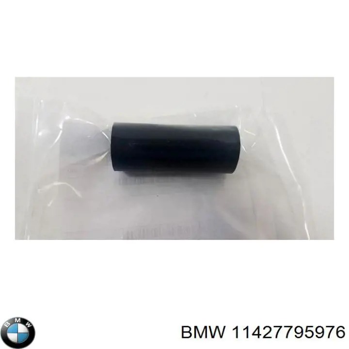  11427795976 BMW