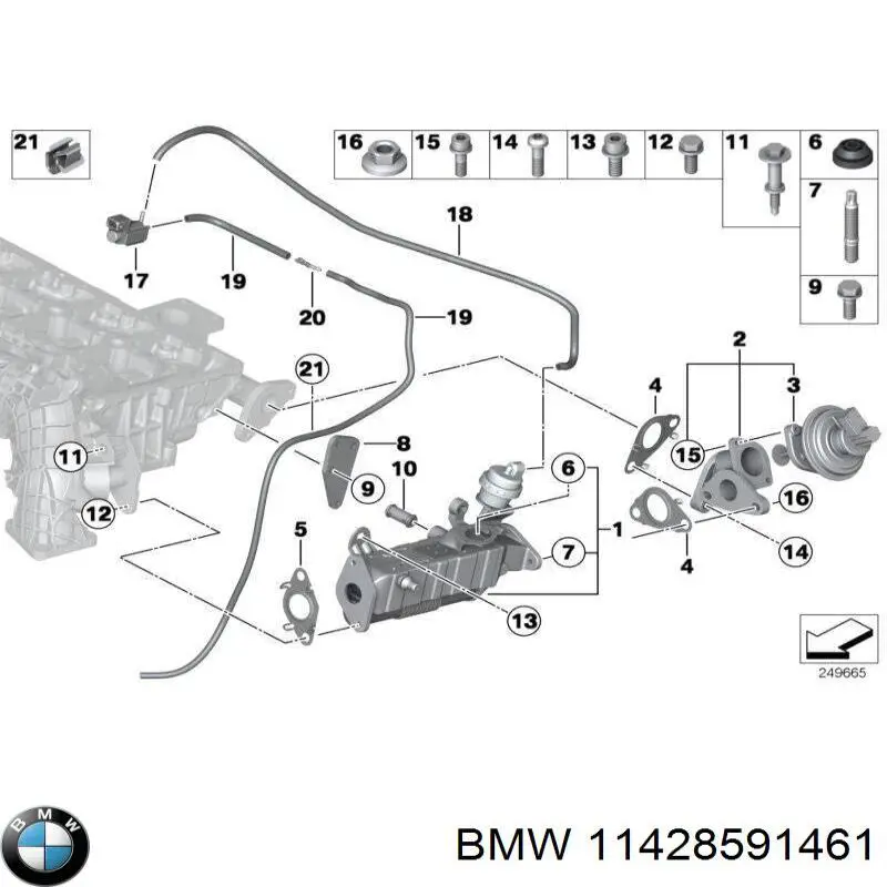 Купить 11428591461 BMW Прокладка радиатора масляного