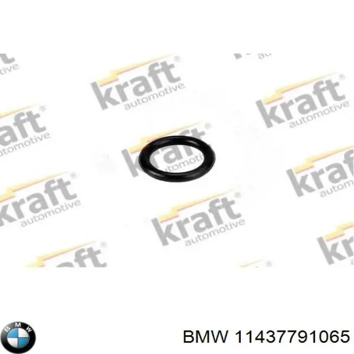  11437791065 BMW