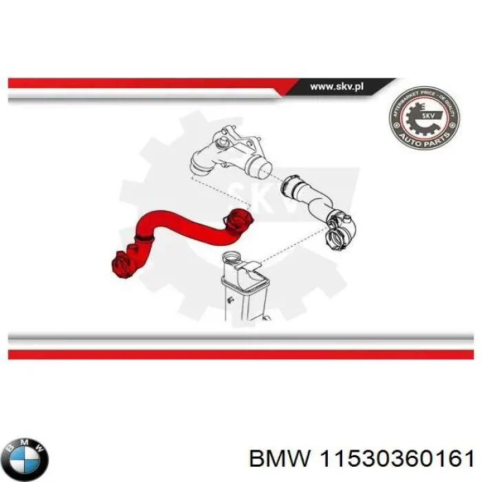 Нижний шлаг радиатора охлаждения 11530360161 BMW