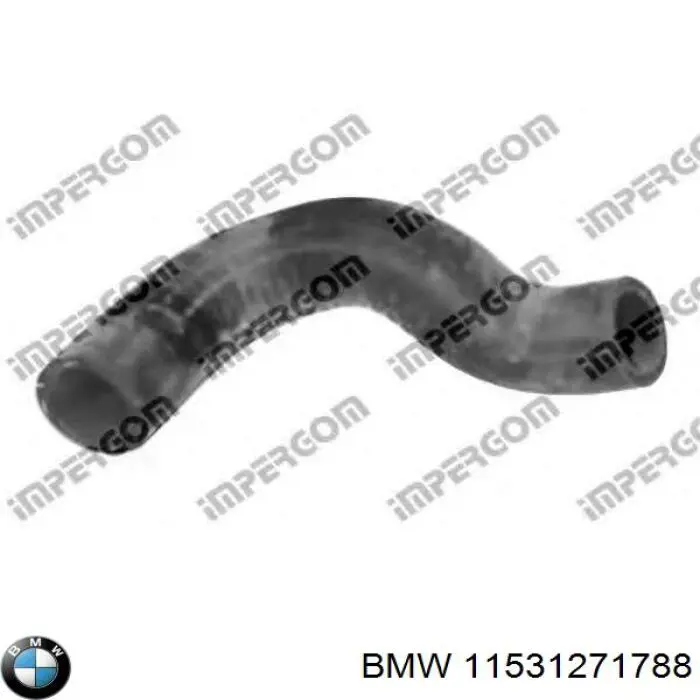  11531271788 BMW