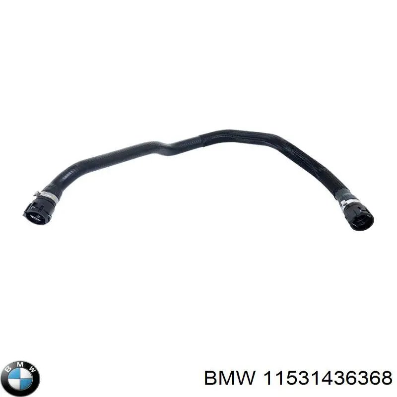 11531436368 BMW mangueira (cano derivado inferior do radiador de esfriamento)