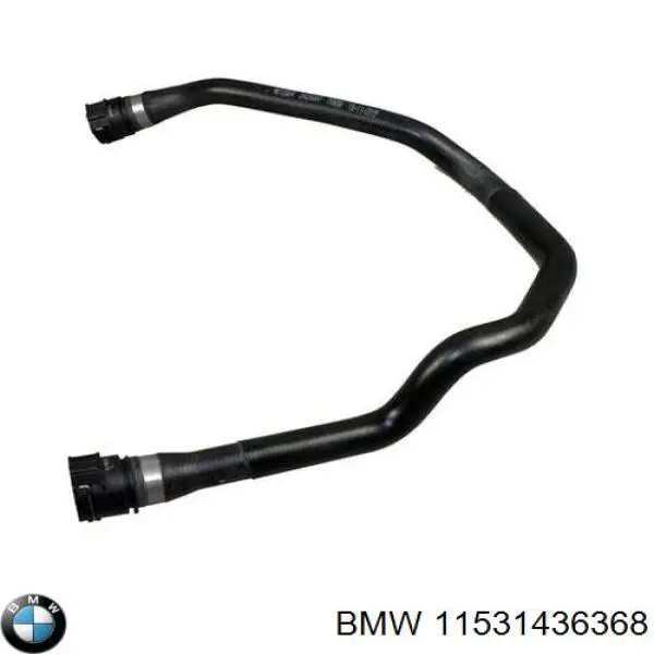 Купить 11531436368 BMW Шланг радиатора охлаждения нижний