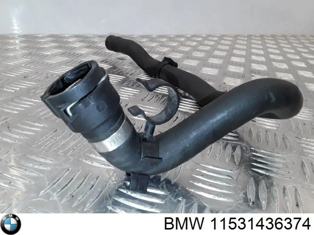 11531436374 BMW 