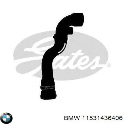 Купить 11531436406 BMW Патрубок радиатора