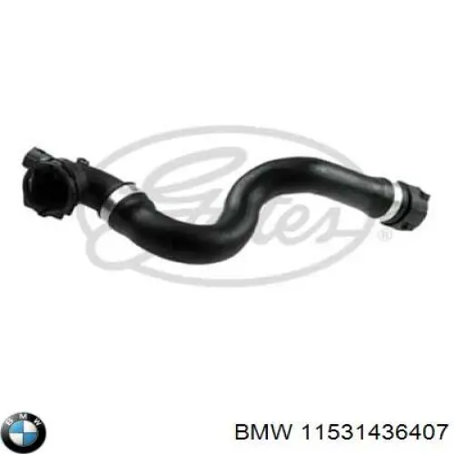 Шланг радиатора охлаждения BMW 11531436407 цена, от 24.15 USD