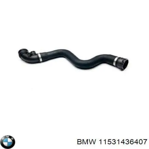 Шланг радиатора охлаждения BMW 11531436407 цена, от 24.15 USD