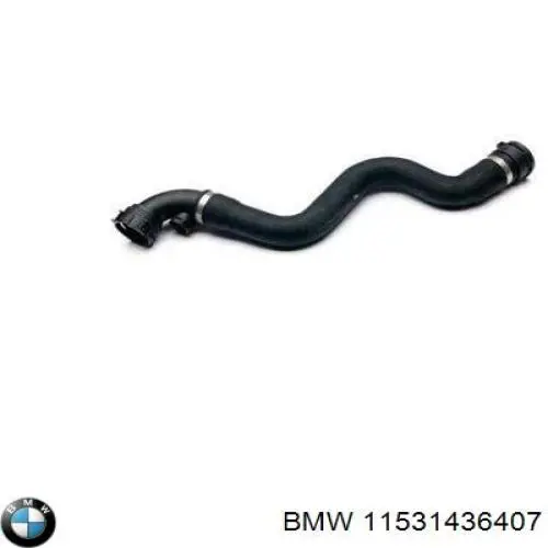 Купить 11531436407 BMW Патрубок радиатора