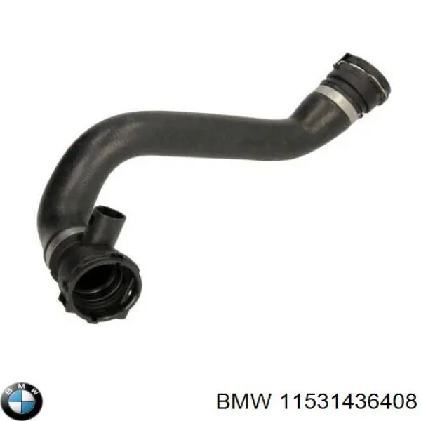Купить 11531436408 BMW Шланг радиатора охлаждения нижний