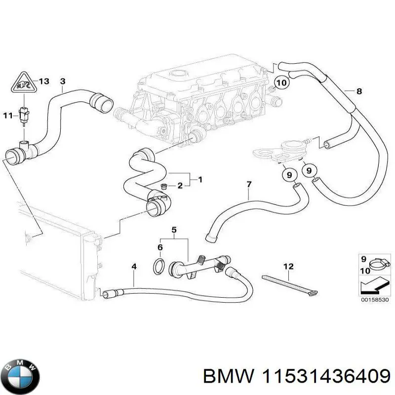 11531436409 BMW шланг (патрубок радиатора охлаждения нижний)
