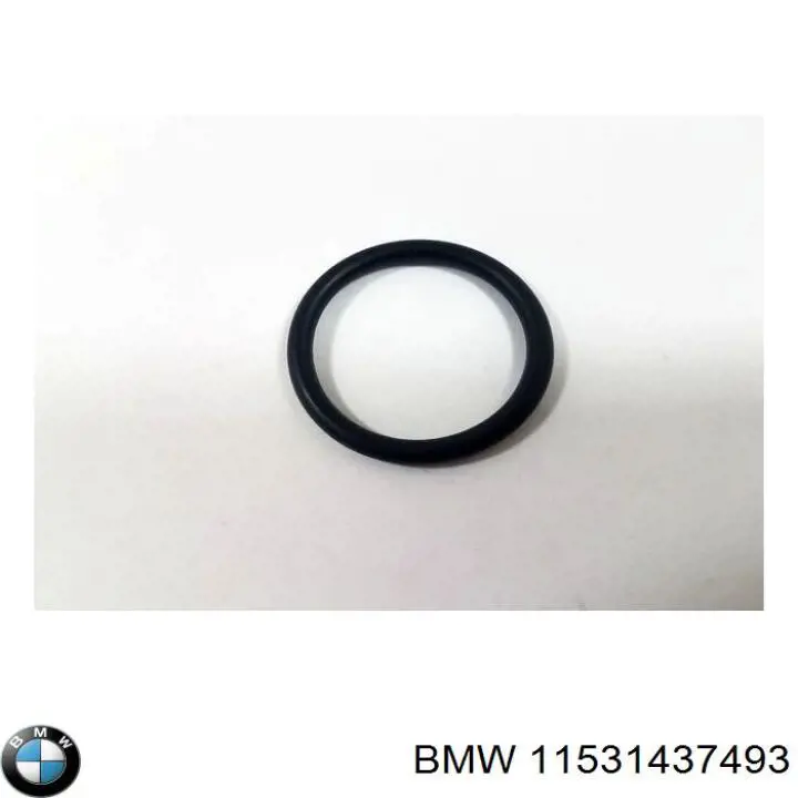 11531437493 BMW 
