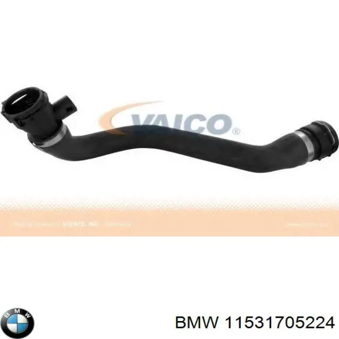 Нижний шлаг радиатора охлаждения 11531705224 BMW