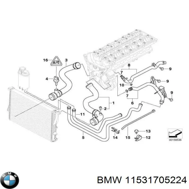 11531705224 BMW Патрубок радиатора охлаждения нижний
