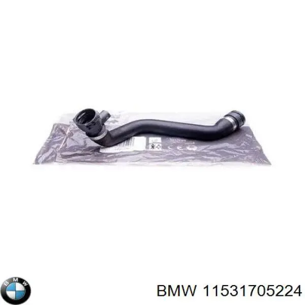 11531705224 BMW шланг (патрубок радиатора охлаждения нижний)