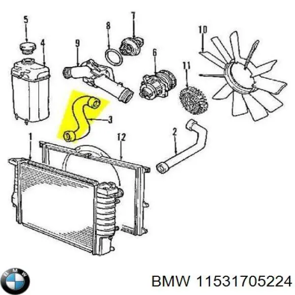 11531705224 BMW Патрубок радиатора охлаждения нижний