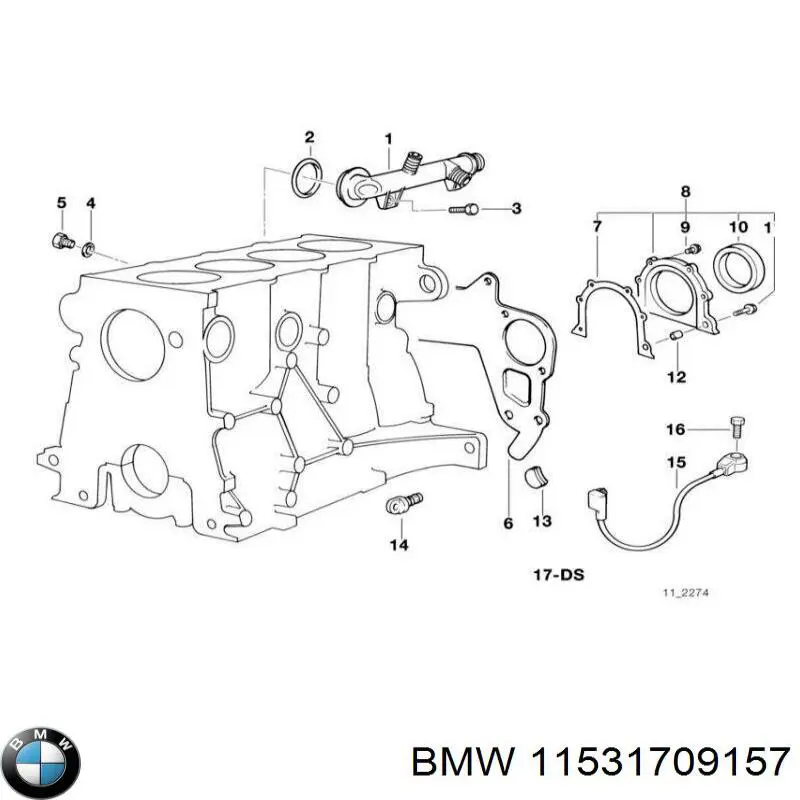 Купить 11531709157 BMW Прокладка водяной помпы
