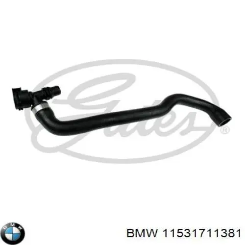 Шланг радиатора охлаждения BMW 11531711381 цена, от 21.65 USD
