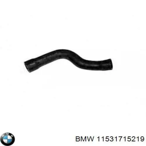 11531715219 BMW 