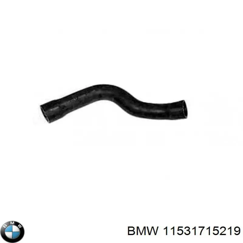 11531715219 BMW mangueira (cano derivado do radiador de esfriamento superior)