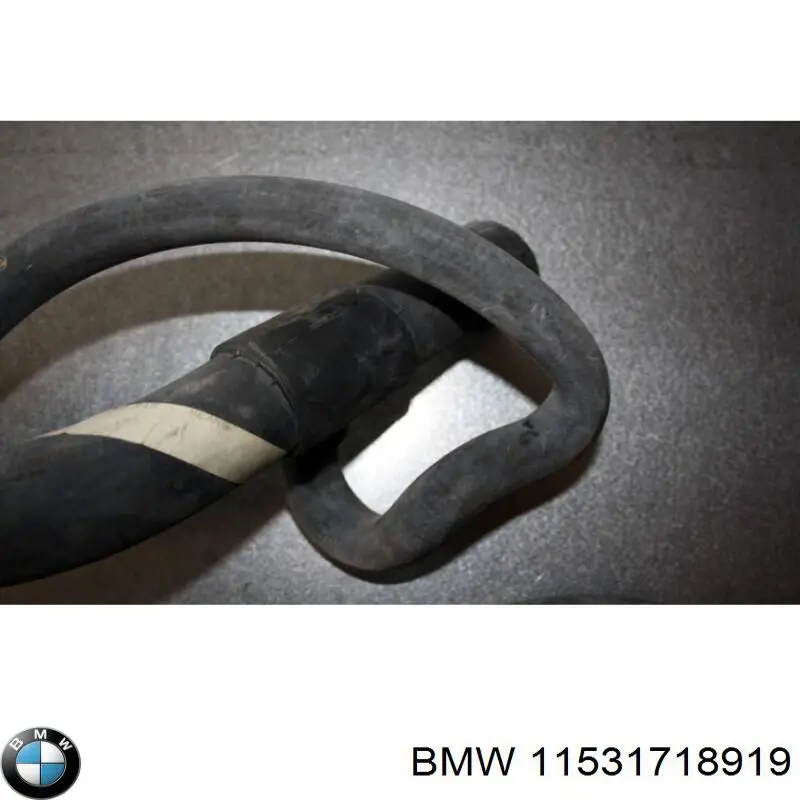 11531718919 BMW 