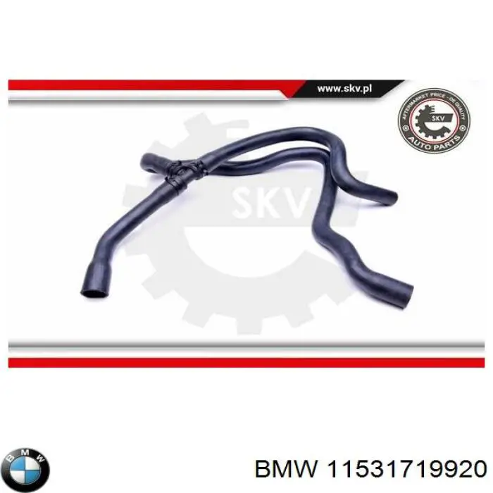 Шланг радиатора, нижний BMW 11531719920 цена, от 24.25 USD