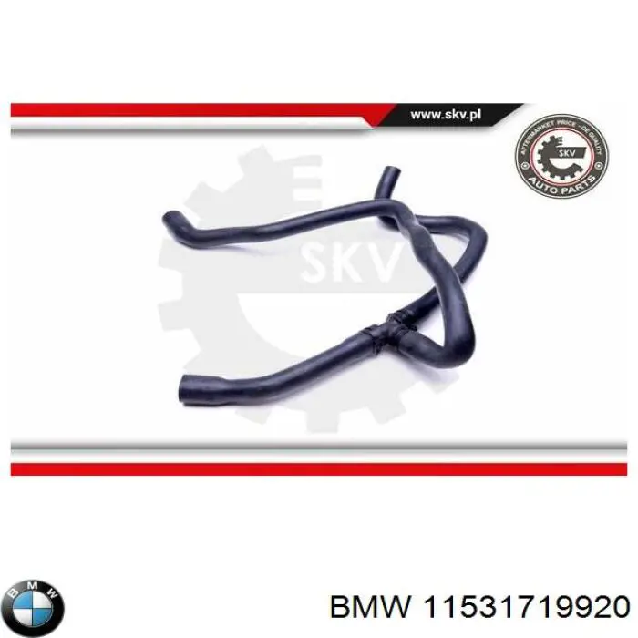 Купить 11531719920 BMW Шланг радиатора охлаждения нижний
