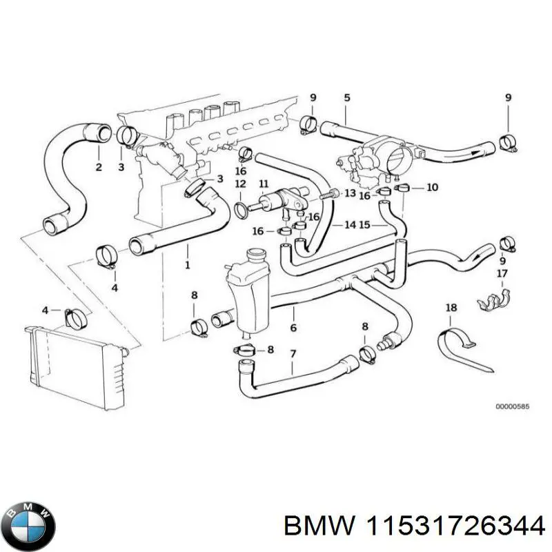 11531726344 BMW шланг (патрубок радиатора охлаждения нижний)