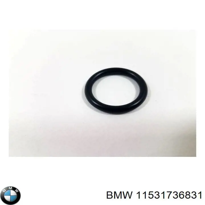  BMW 11531736831