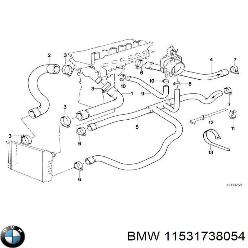 Купить 11531738054 BMW Шланг радиатора охлаждения нижний