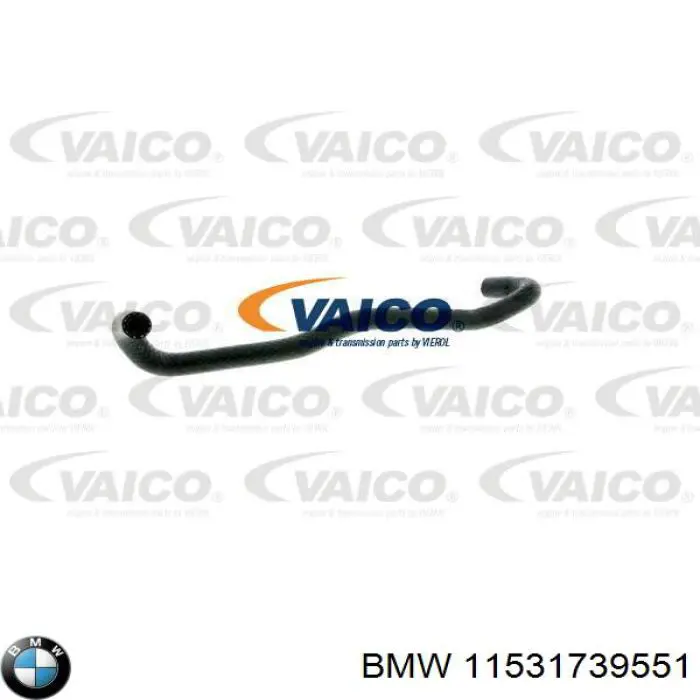  11531739551 BMW