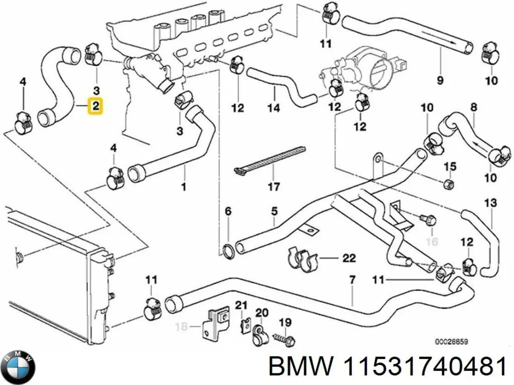 Нижний шлаг радиатора охлаждения 11531740481 BMW