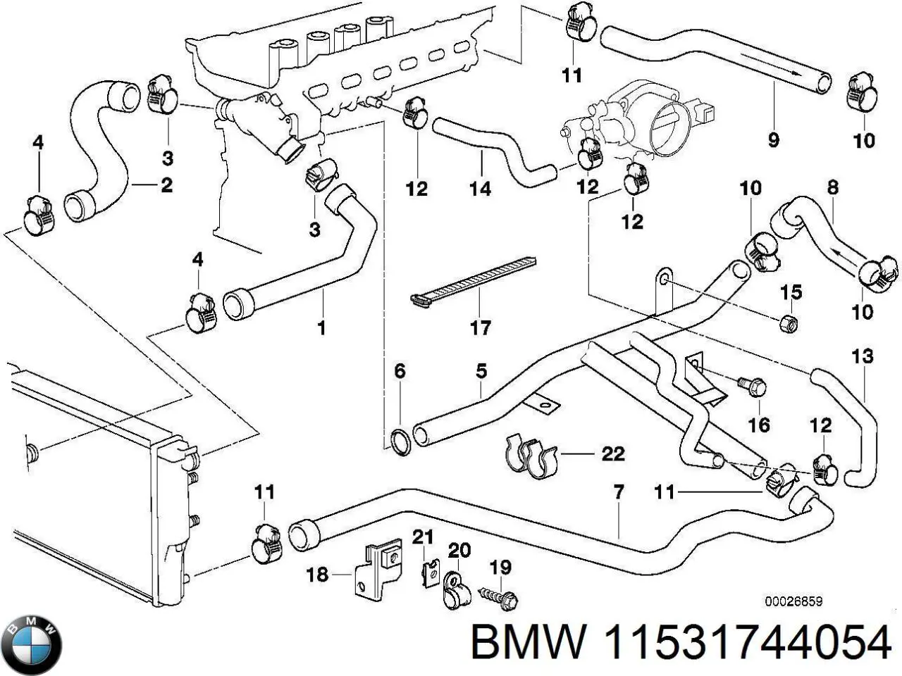 11531744054 BMW 