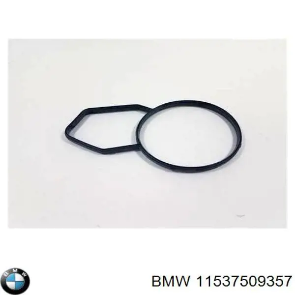 Купить Прокладка термостата Бмв 5  E39