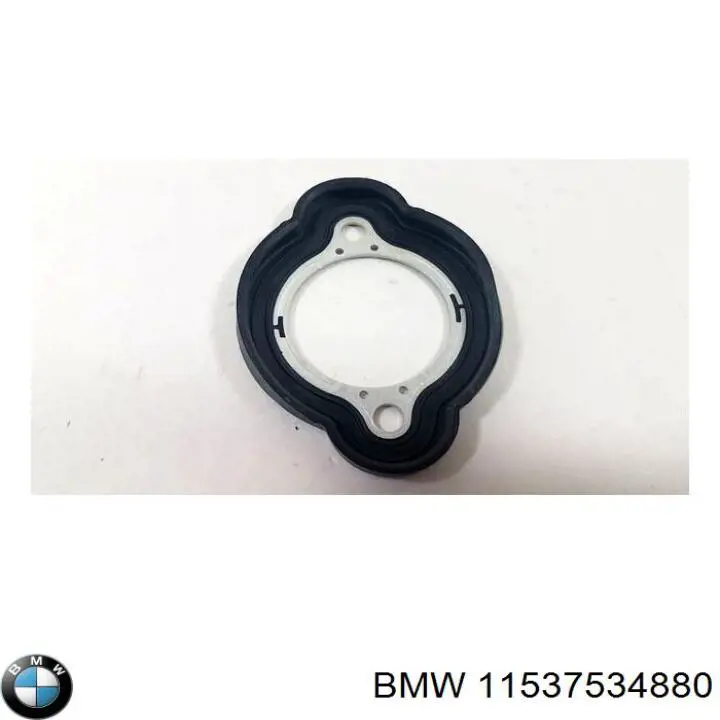 Прокладка масляного фильтра 11537534880 BMW