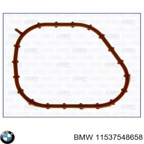 11537548658 BMW прокладка корпуса термостата