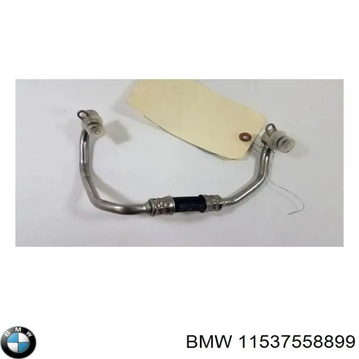  11537558899 BMW