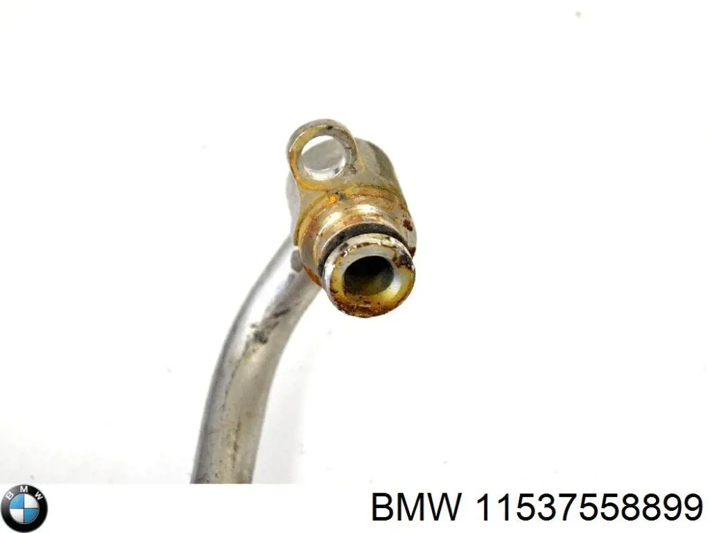  11537558899 BMW