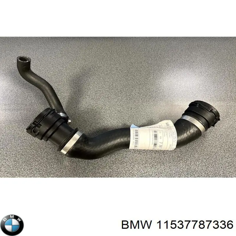 11537787336 BMW mangueira (cano derivado do radiador de esfriamento superior)