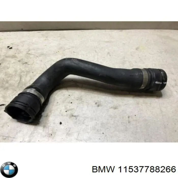  11537788266 BMW