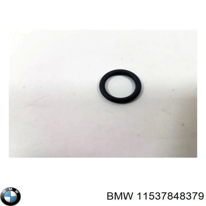  11537848379 BMW