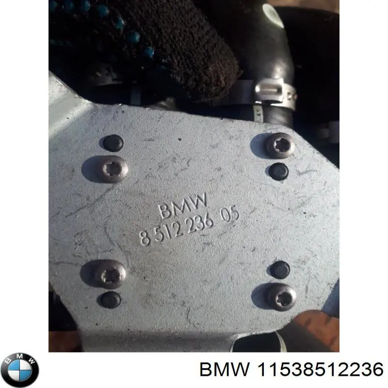 11538512236 BMW 