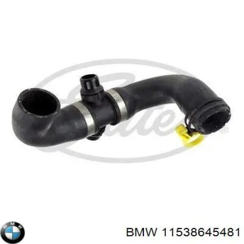 11538645481 BMW mangueira (cano derivado de bomba de água de admissão)